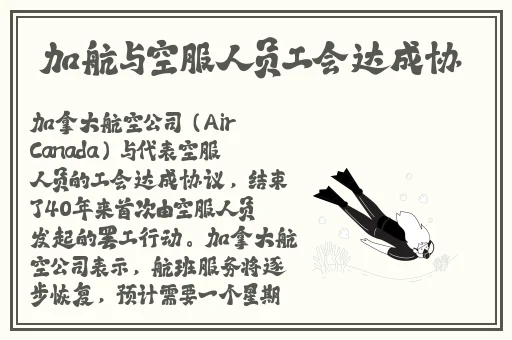 被粗大的🐔巴捣出白浆下载